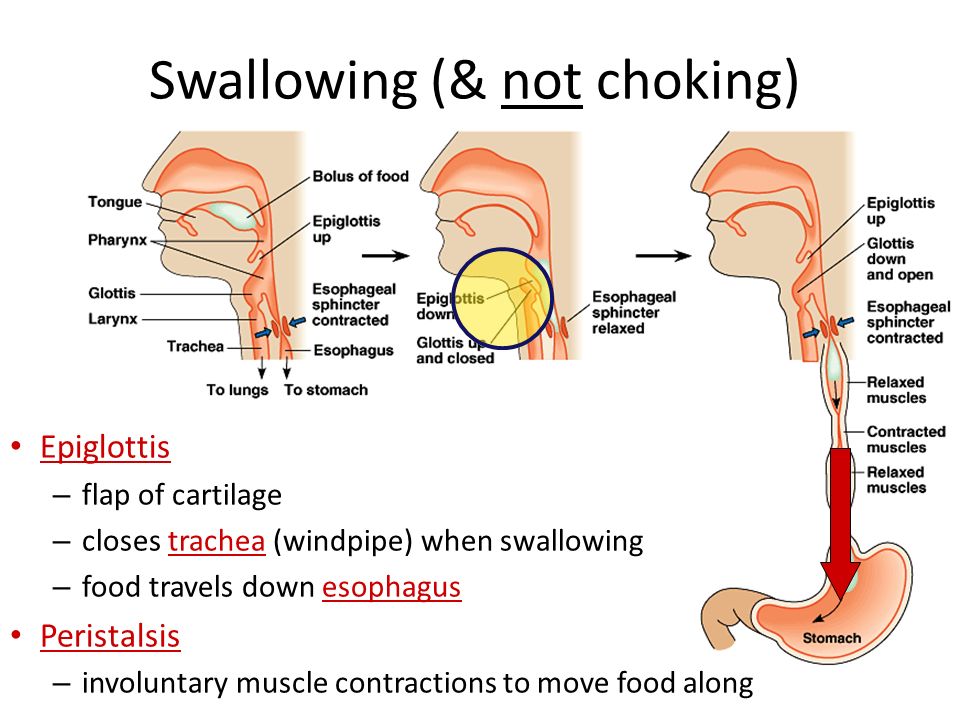 Swallowing and not chocking lifevac